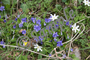Dog-Violets