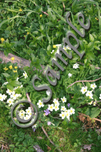 Spring flowers