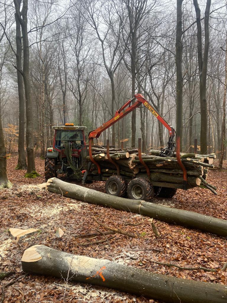 our timber trailer at work in the woods copy right Chris Watts