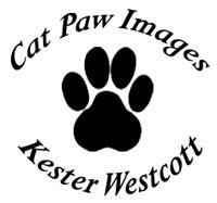 Cat Paw Images by Kester Westcott logo including a paw print with the words around the outside